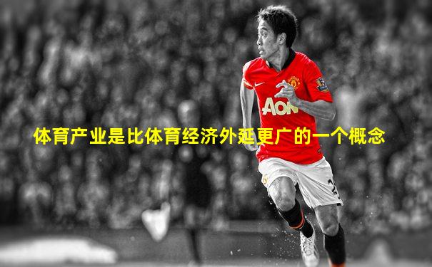 体育产业是比体育经济外延更广的一个概念