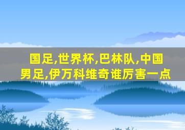 国足,世界杯,巴林队,中国男足,伊万科维奇谁厉害一点
