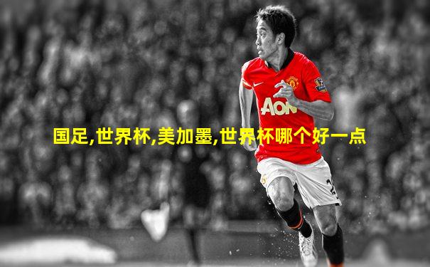国足,世界杯,美加墨,世界杯哪个好一点