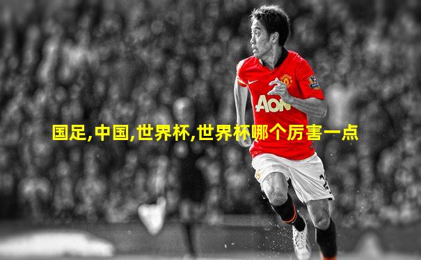 国足,中国,世界杯,世界杯哪个厉害一点