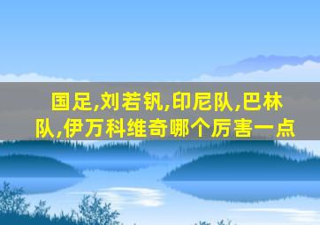国足,刘若钒,印尼队,巴林队,伊万科维奇哪个厉害一点