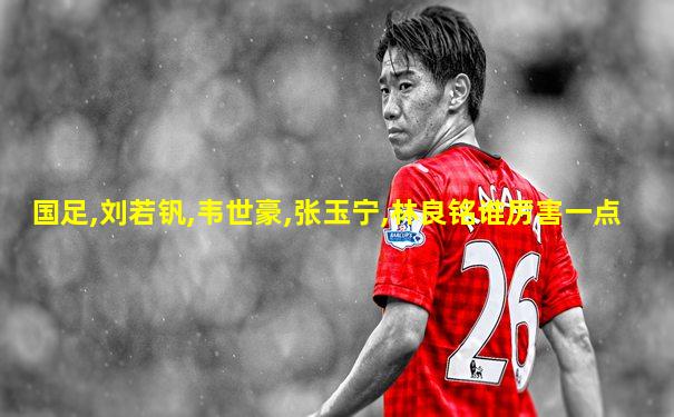 国足,刘若钒,韦世豪,张玉宁,林良铭谁厉害一点