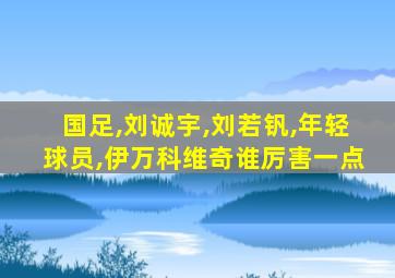 国足,刘诚宇,刘若钒,年轻球员,伊万科维奇谁厉害一点