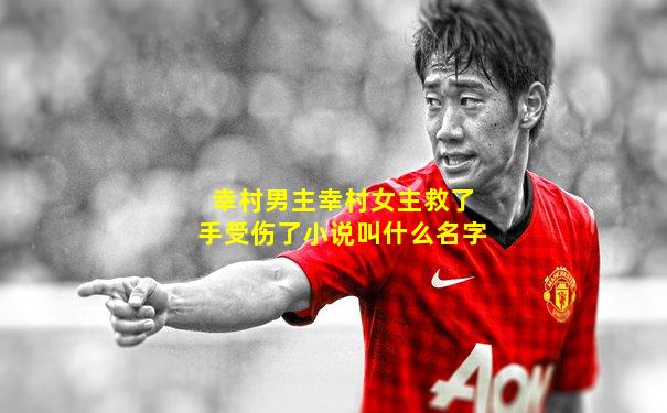 幸村男主幸村女主救了手受伤了小说叫什么名字