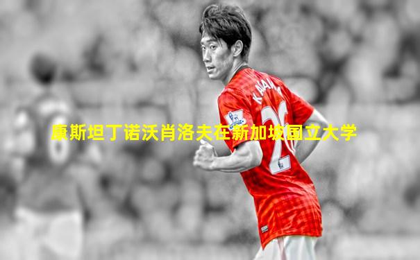 康斯坦丁诺沃肖洛夫在新加坡国立大学