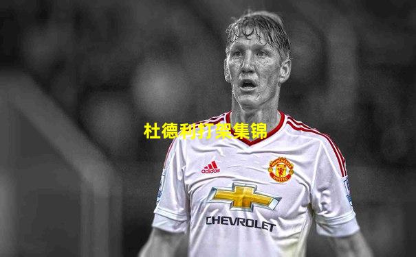 杜德利打架集锦