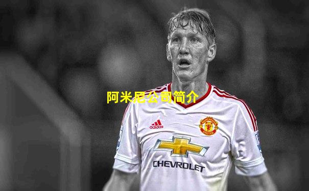 阿米尼公司简介