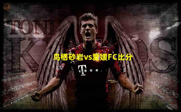 鸟栖砂岩vs爱媛FC比分