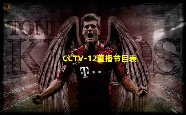 CCTV-12直播节目表