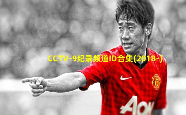 CCTV-9纪录频道ID合集(2018-)