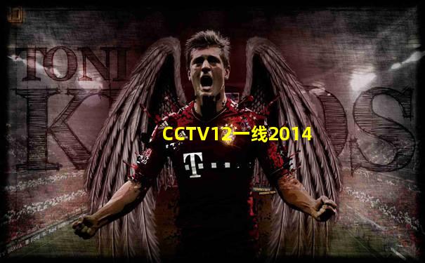 CCTV12一线2014