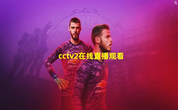 cctv2在线直播观看