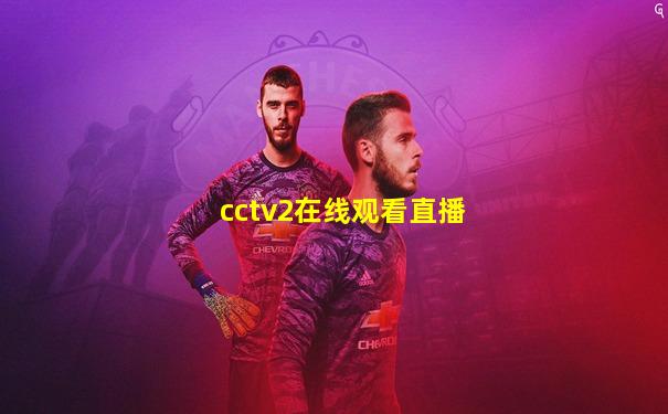 cctv2在线观看直播
