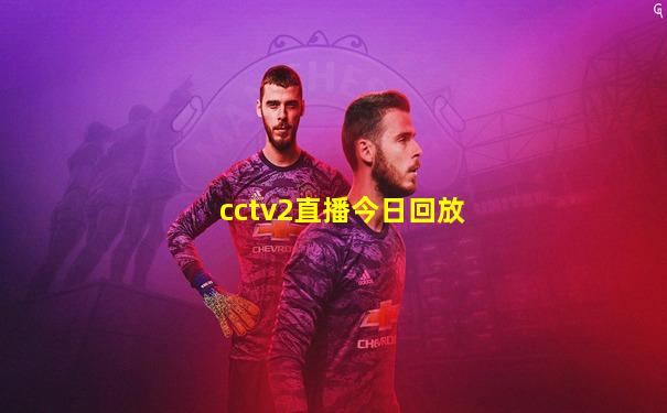 cctv2直播今日回放
