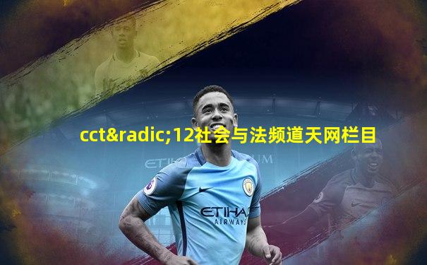 cct√12社会与法频道天网栏目