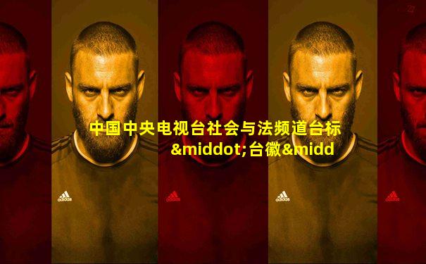 中国中央电视台社会与法频道台标·台徽·呼号10秒
