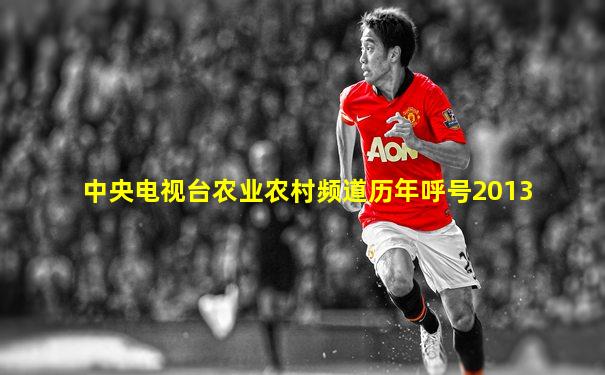 中央电视台农业农村频道历年呼号2013