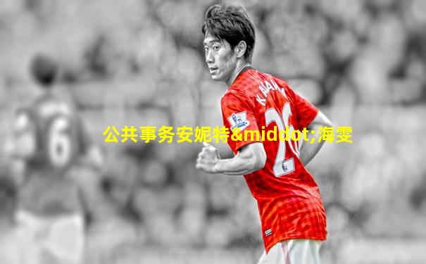 公共事务安妮特·海雯
