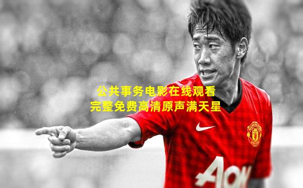 公共事务电影在线观看完整免费高清原声满天星