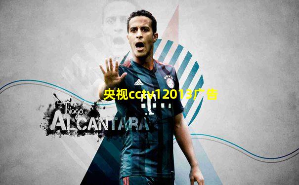 央视cctv12013广告