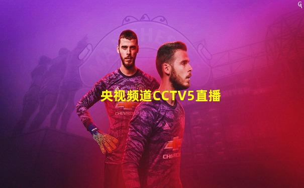 央视频道CCTV5直播