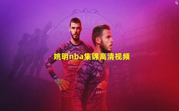 姚明nba集锦高清视频