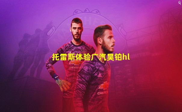 托雷斯体验广汽昊铂hl