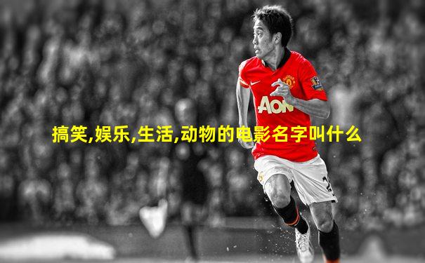 搞笑,娱乐,生活,动物的电影名字叫什么