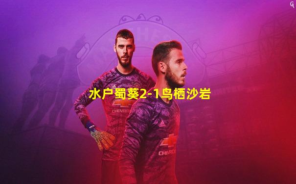 水户蜀葵2-1鸟栖沙岩