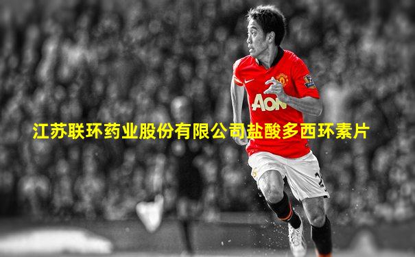 江苏联环药业股份有限公司盐酸多西环素片
