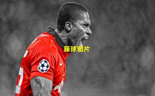 藤球图片
