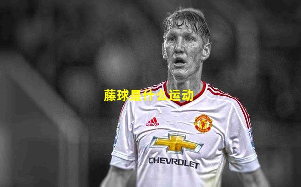 藤球是什么运动