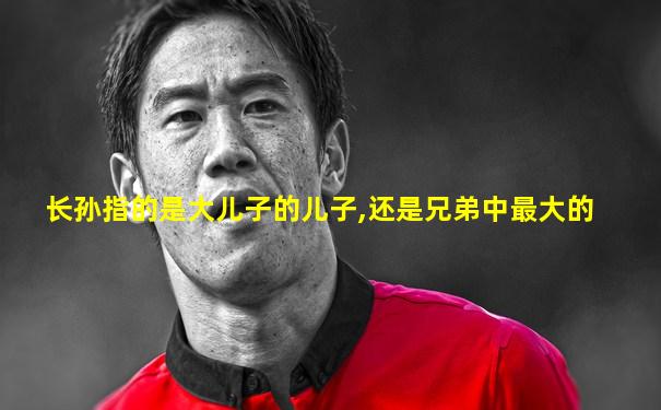 长孙指的是大儿子的儿子,还是兄弟中最大的